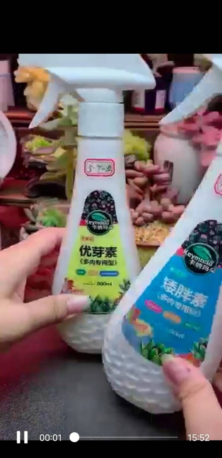 静花园园艺多肉直播话术03