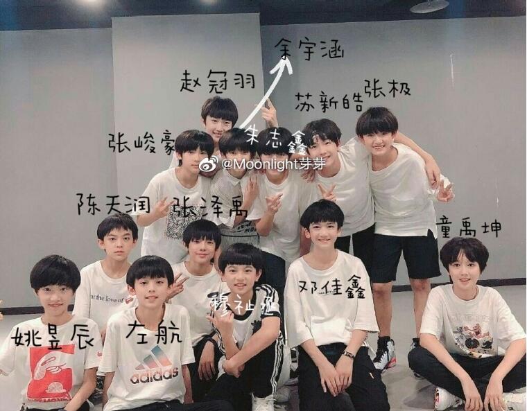 TF家族三代成员